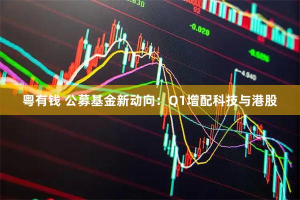 粤有钱 公募基金新动向：Q1增配科技与港股