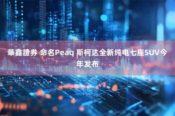 華鑫證券 命名Peaq 斯柯达全新纯电七座SUV今年发布