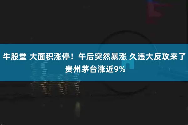 牛股堂 大面积涨停！午后突然暴涨 久违大反攻来了 贵州茅台涨近9%